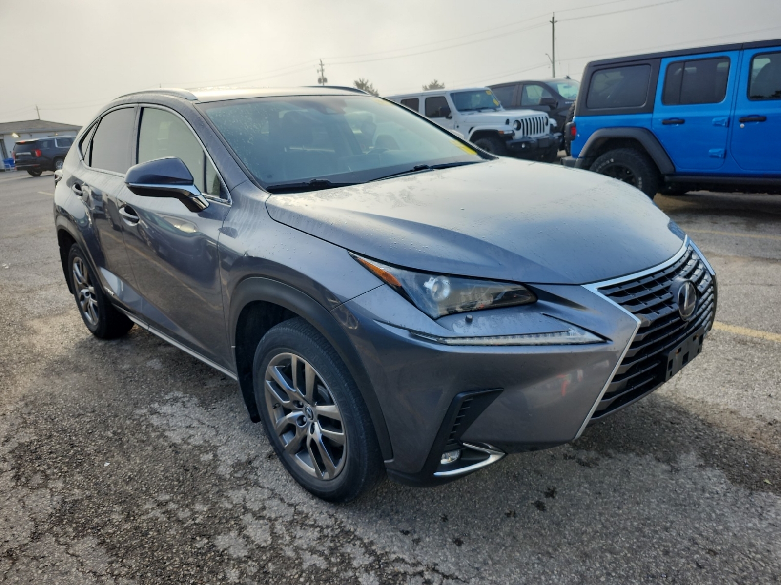 Lexus NX 300H