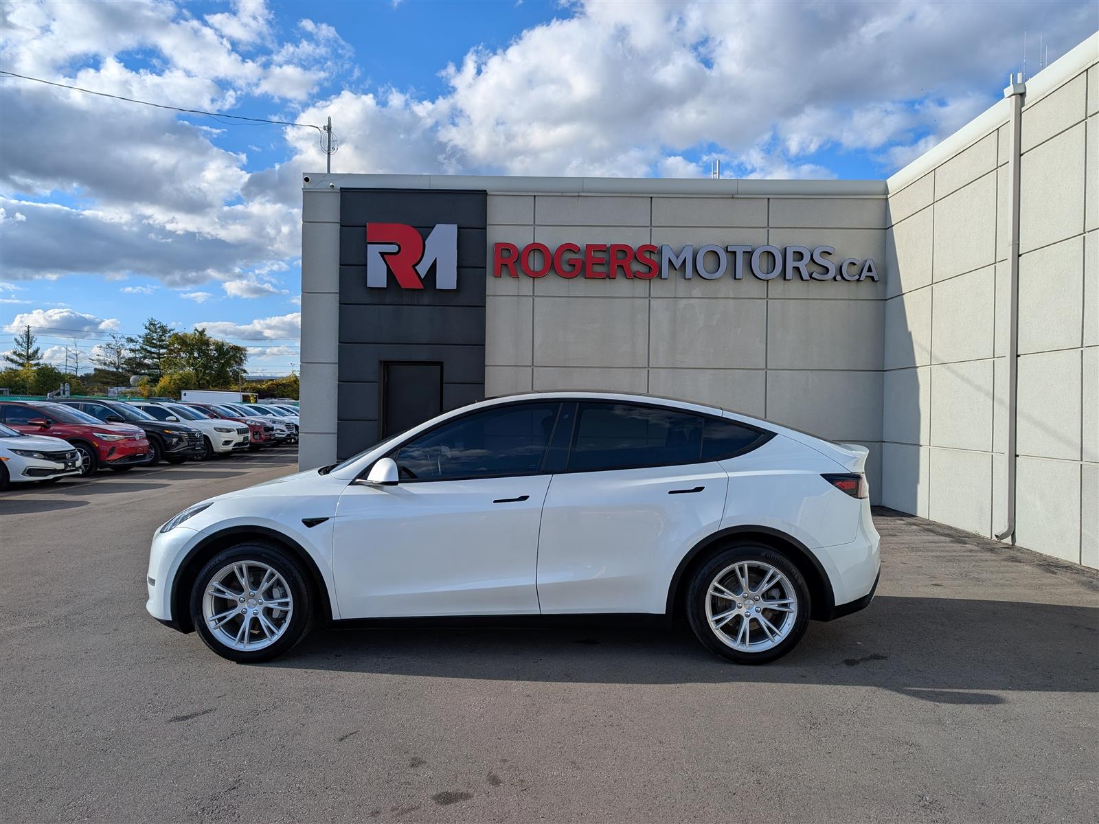 Tesla MODEL Y