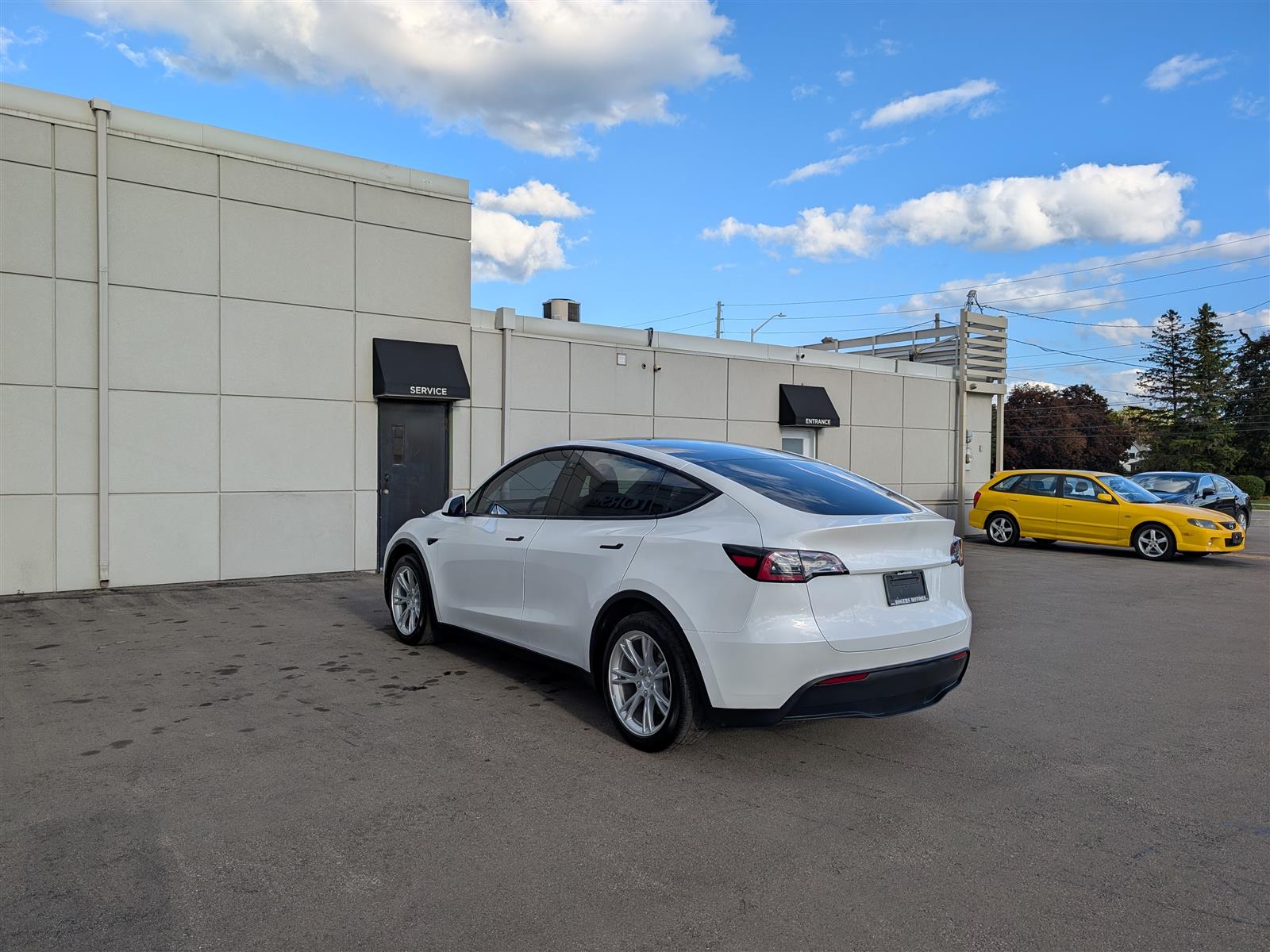 Tesla MODEL Y