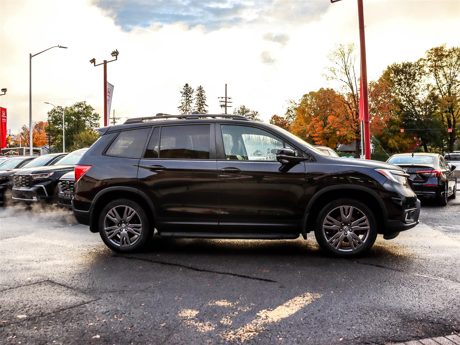 Honda Passport