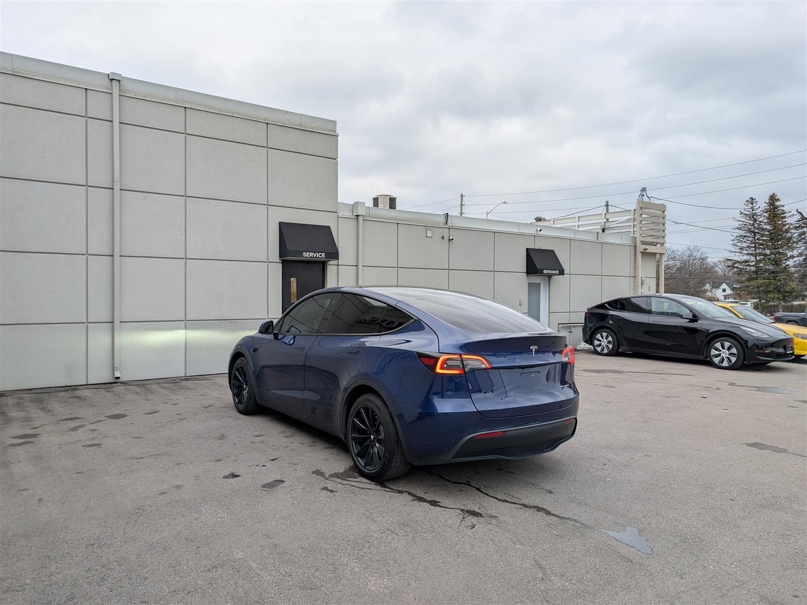 Tesla MODEL Y