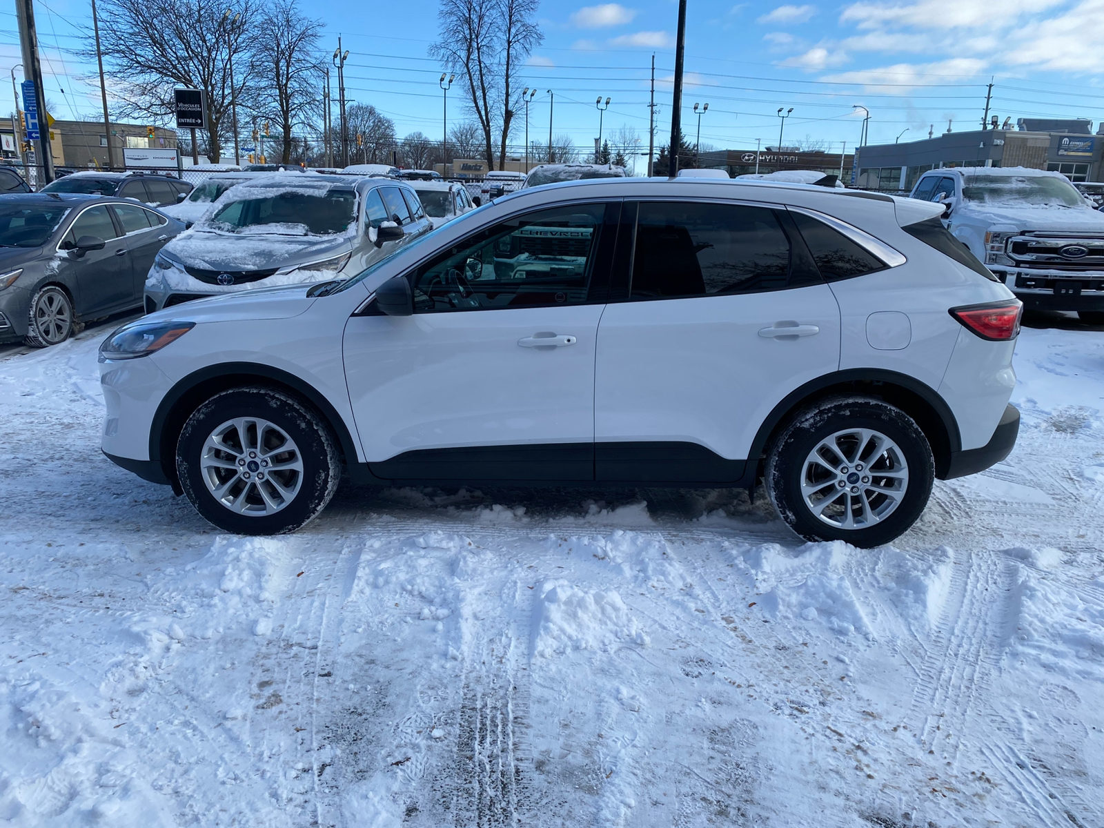 Ford Escape