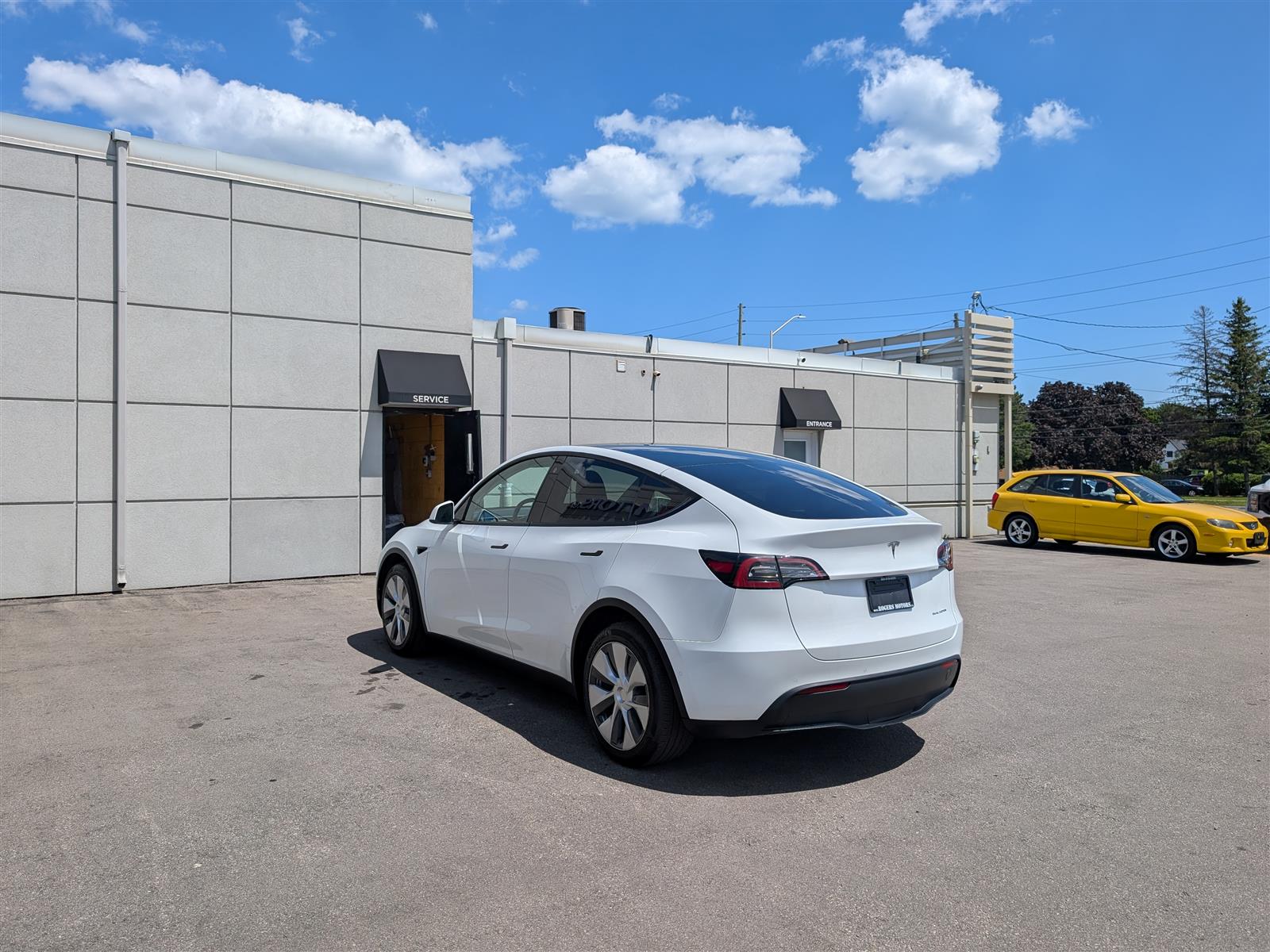 Tesla MODEL Y