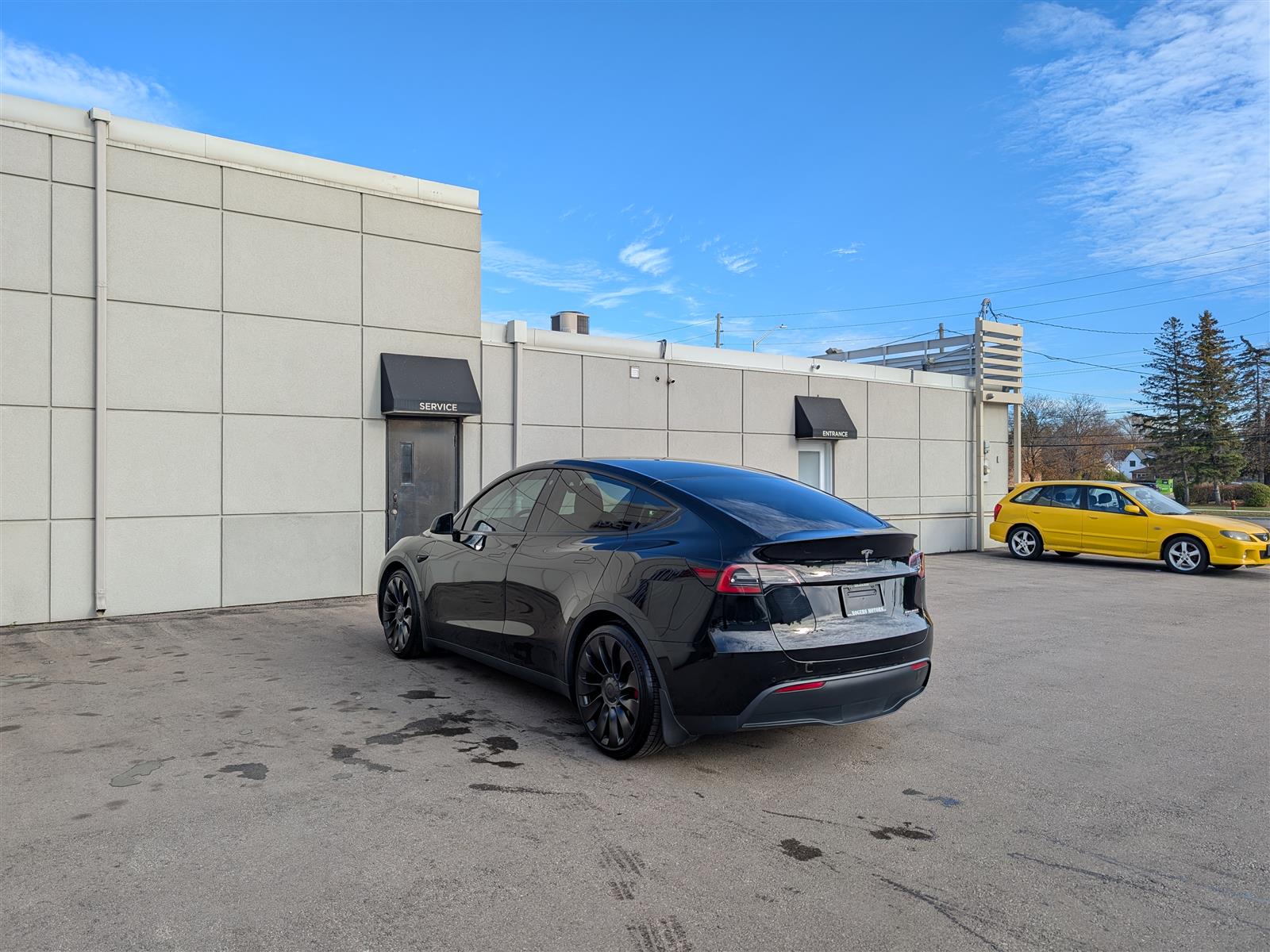 Tesla MODEL Y