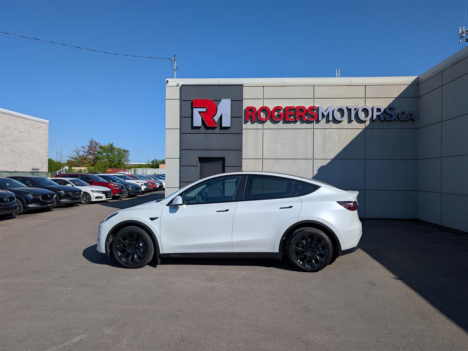 Tesla MODEL Y
