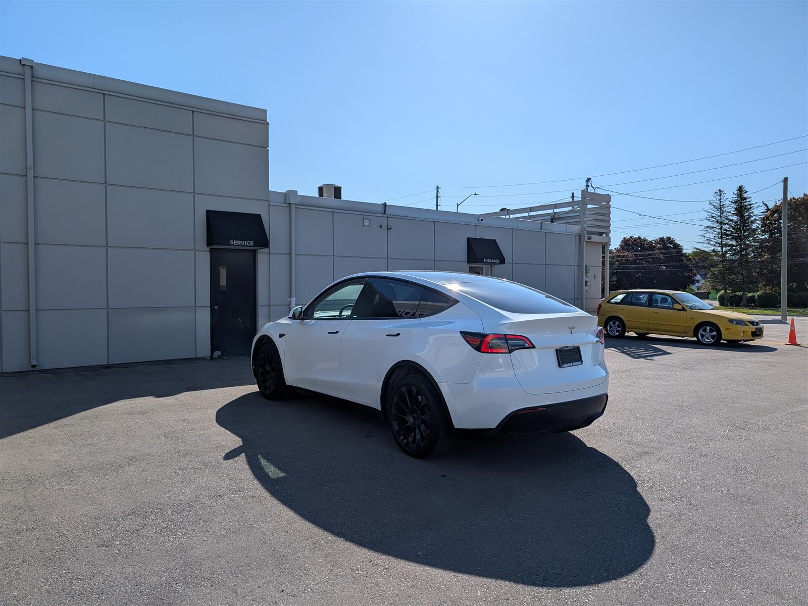 Tesla MODEL Y