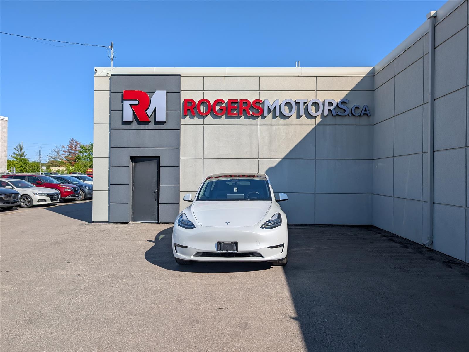Tesla MODEL Y