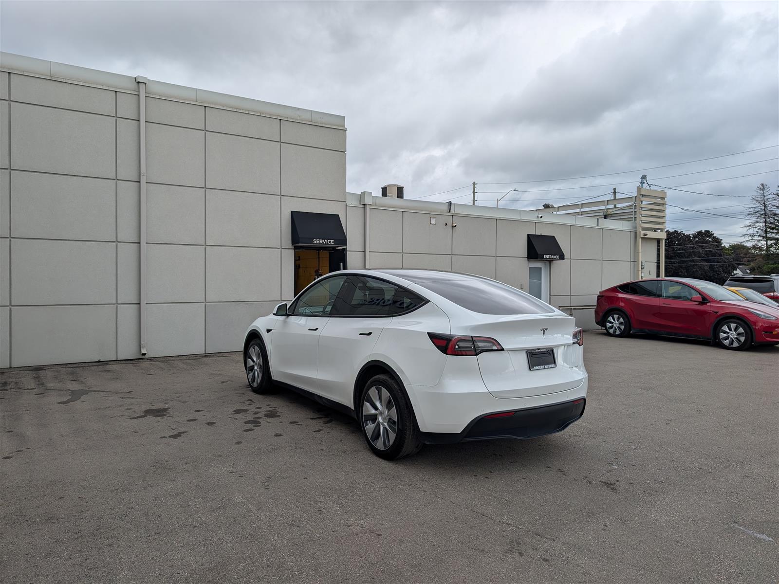 Tesla MODEL Y