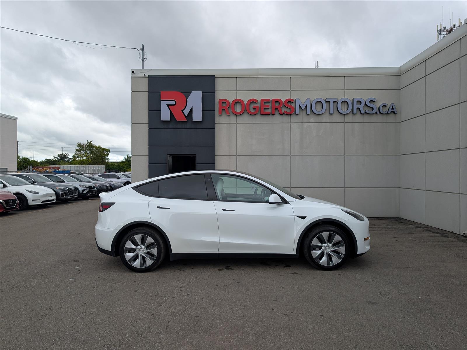 Tesla MODEL Y