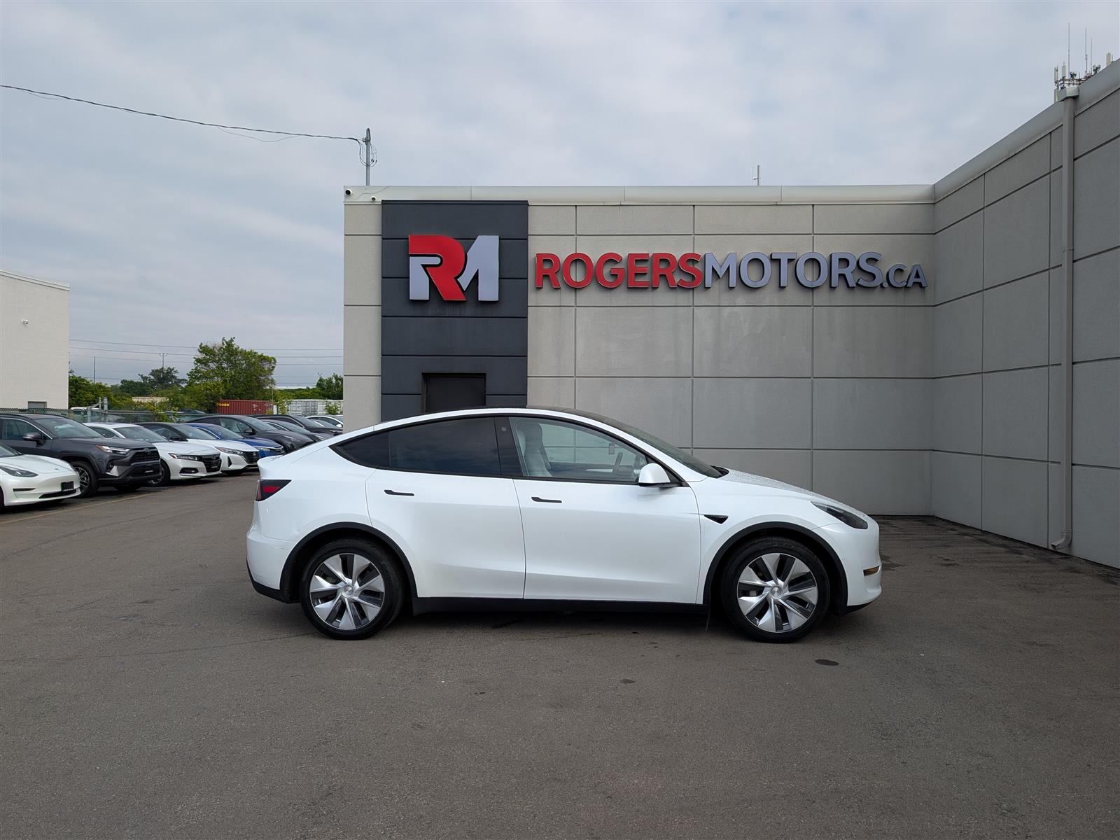 Tesla MODEL Y