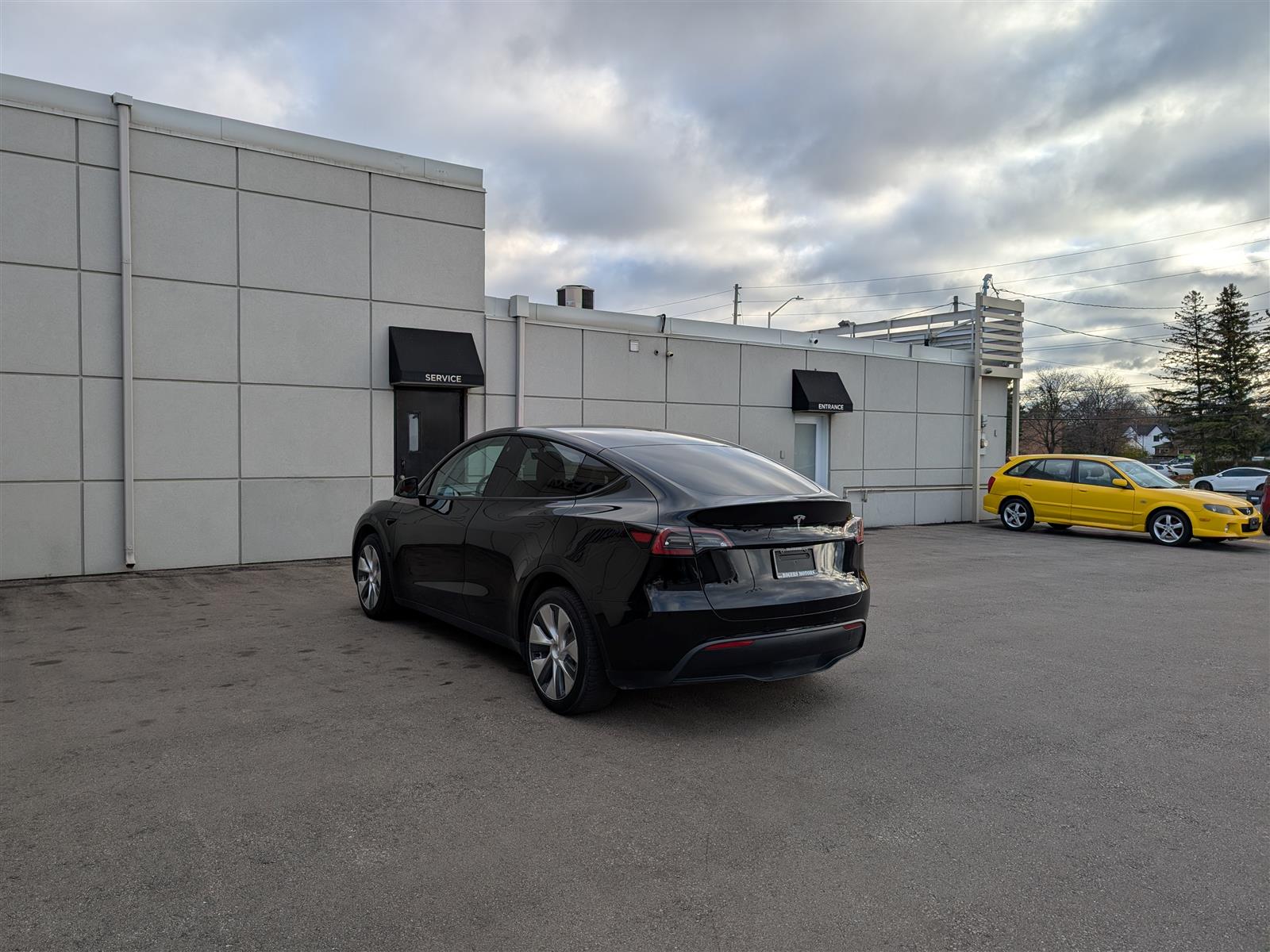 Tesla MODEL Y