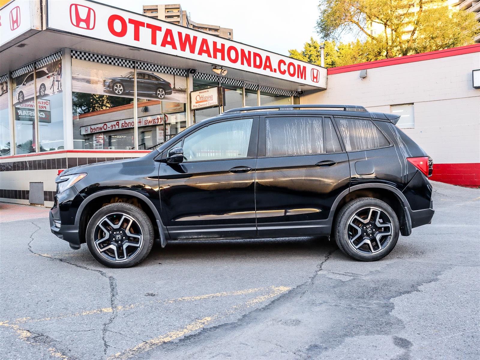 Honda Passport