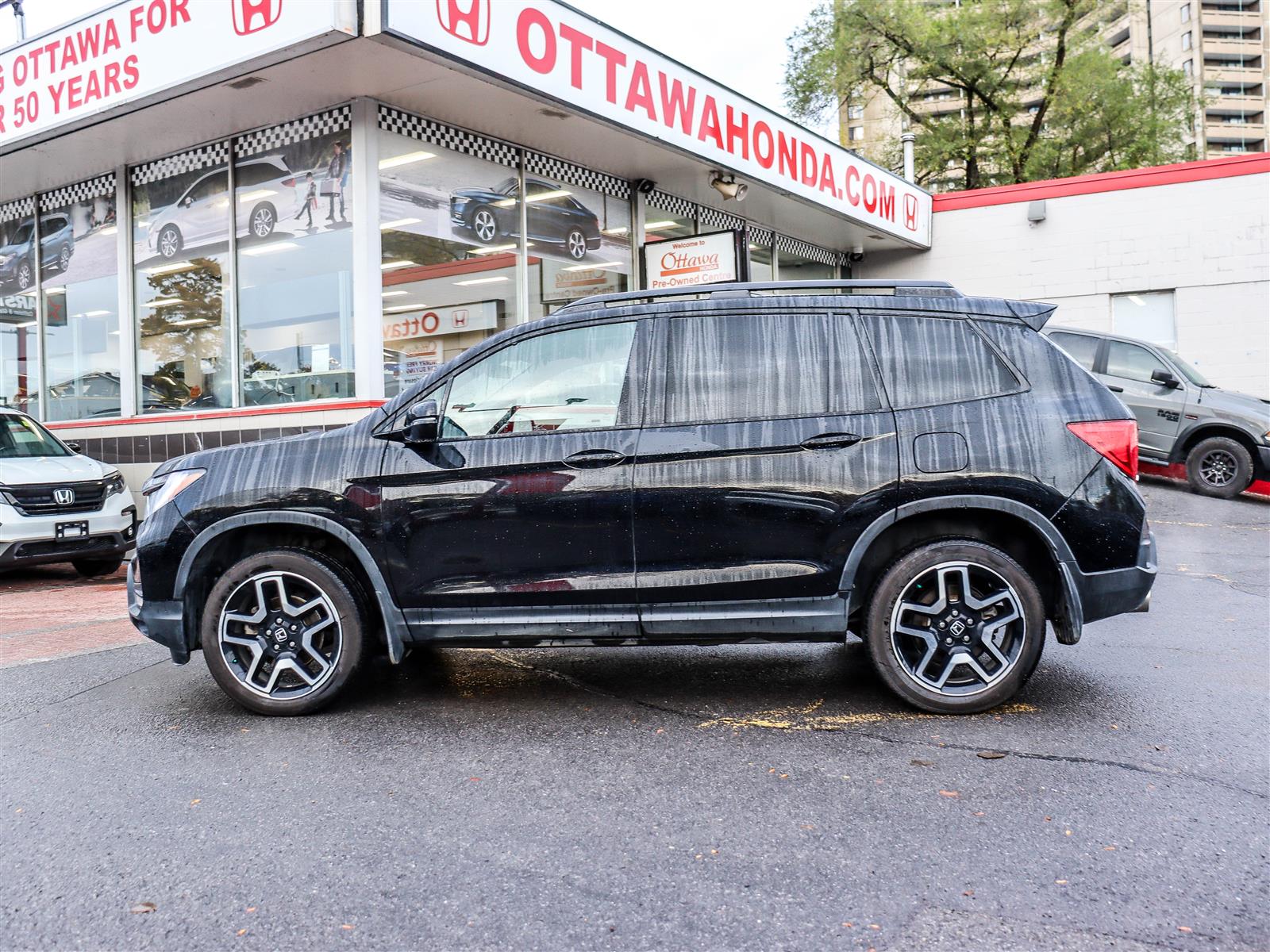 Honda Passport