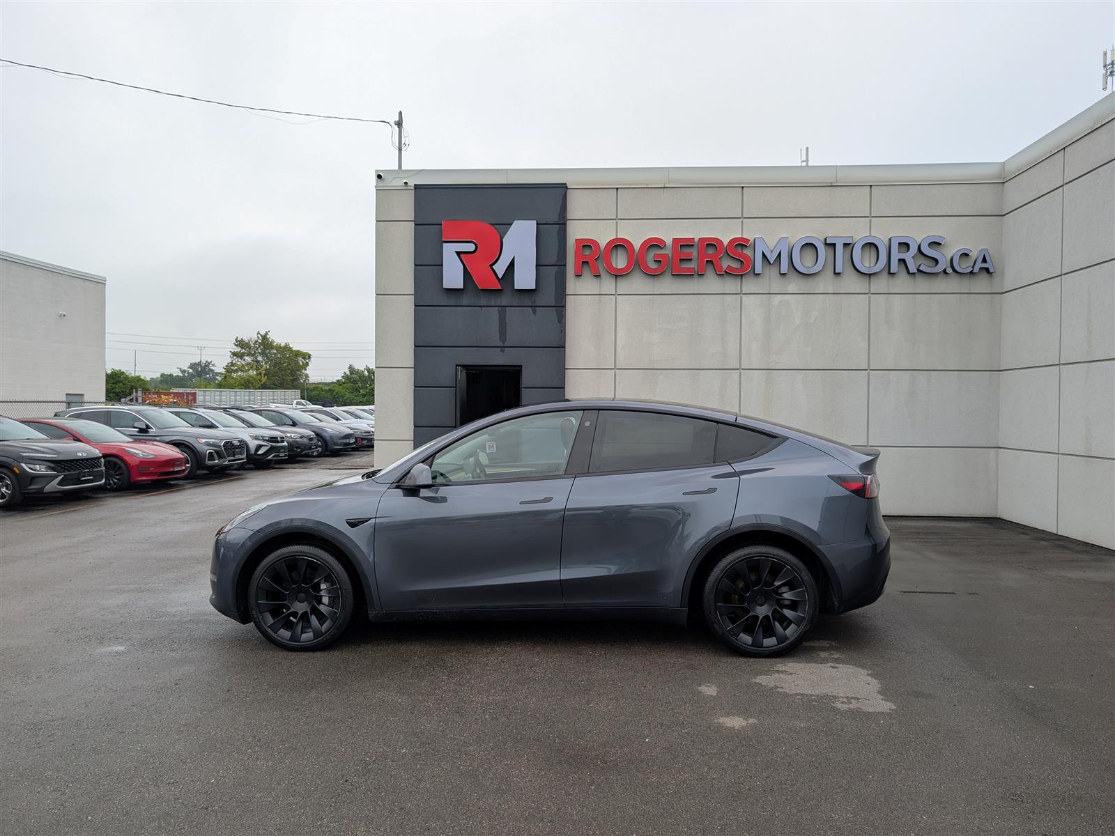 Tesla MODEL Y
