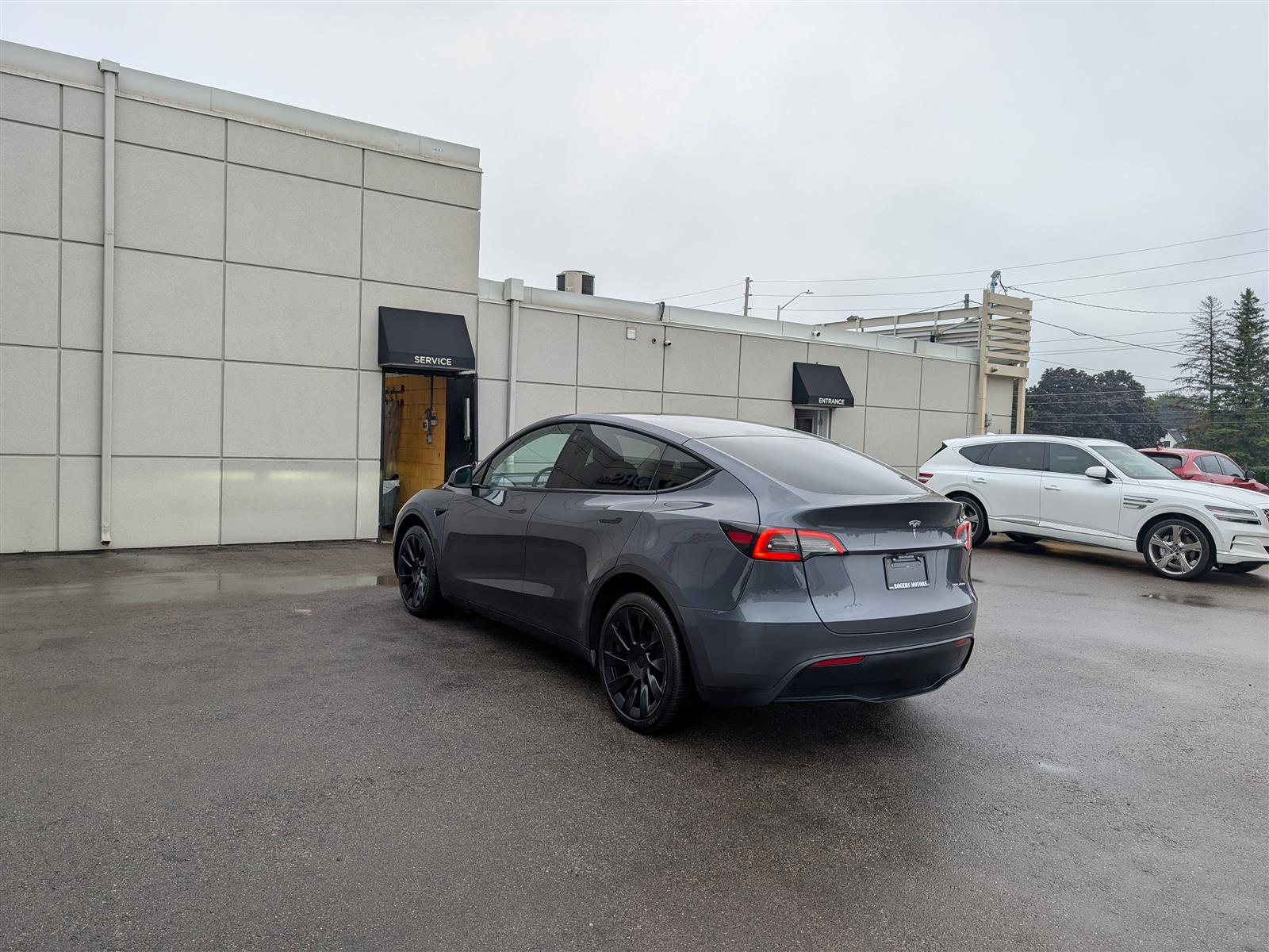 Tesla MODEL Y