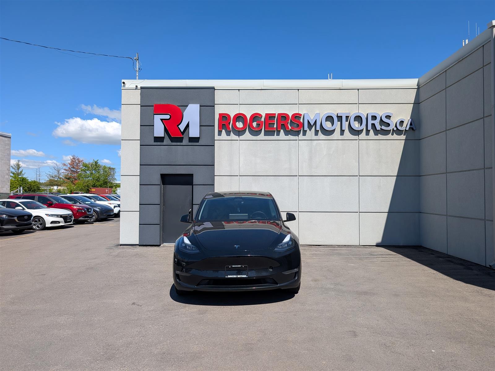 Tesla MODEL Y