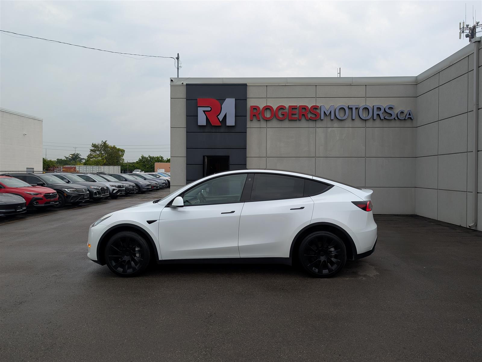 Tesla MODEL Y