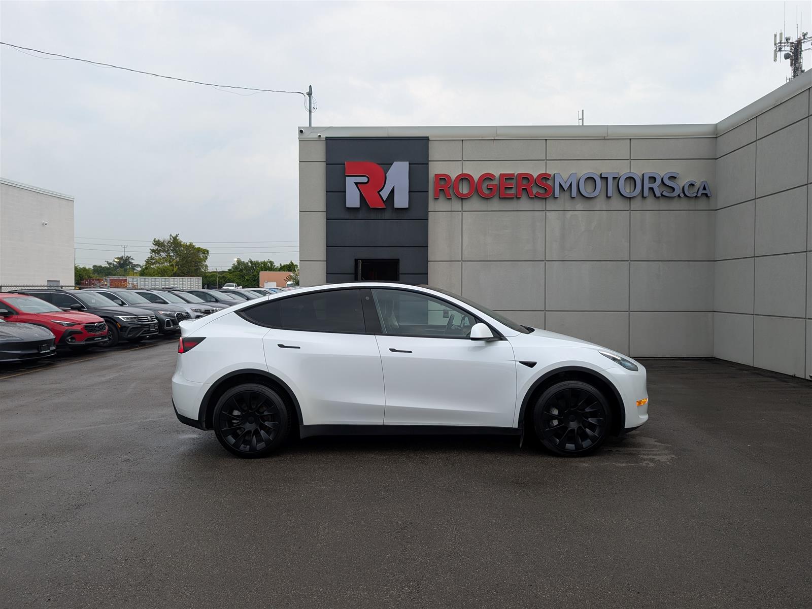 Tesla MODEL Y