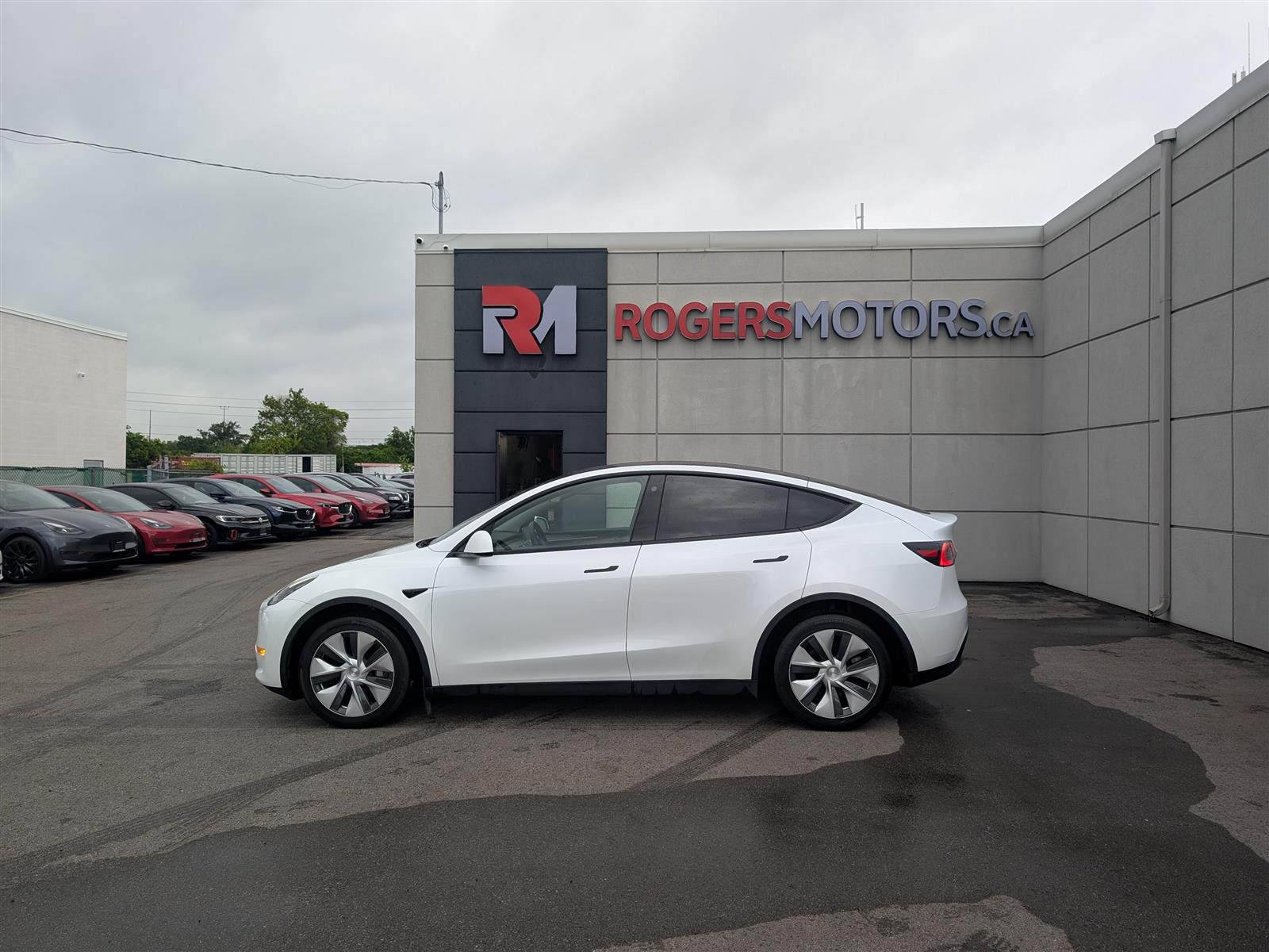 Tesla MODEL Y