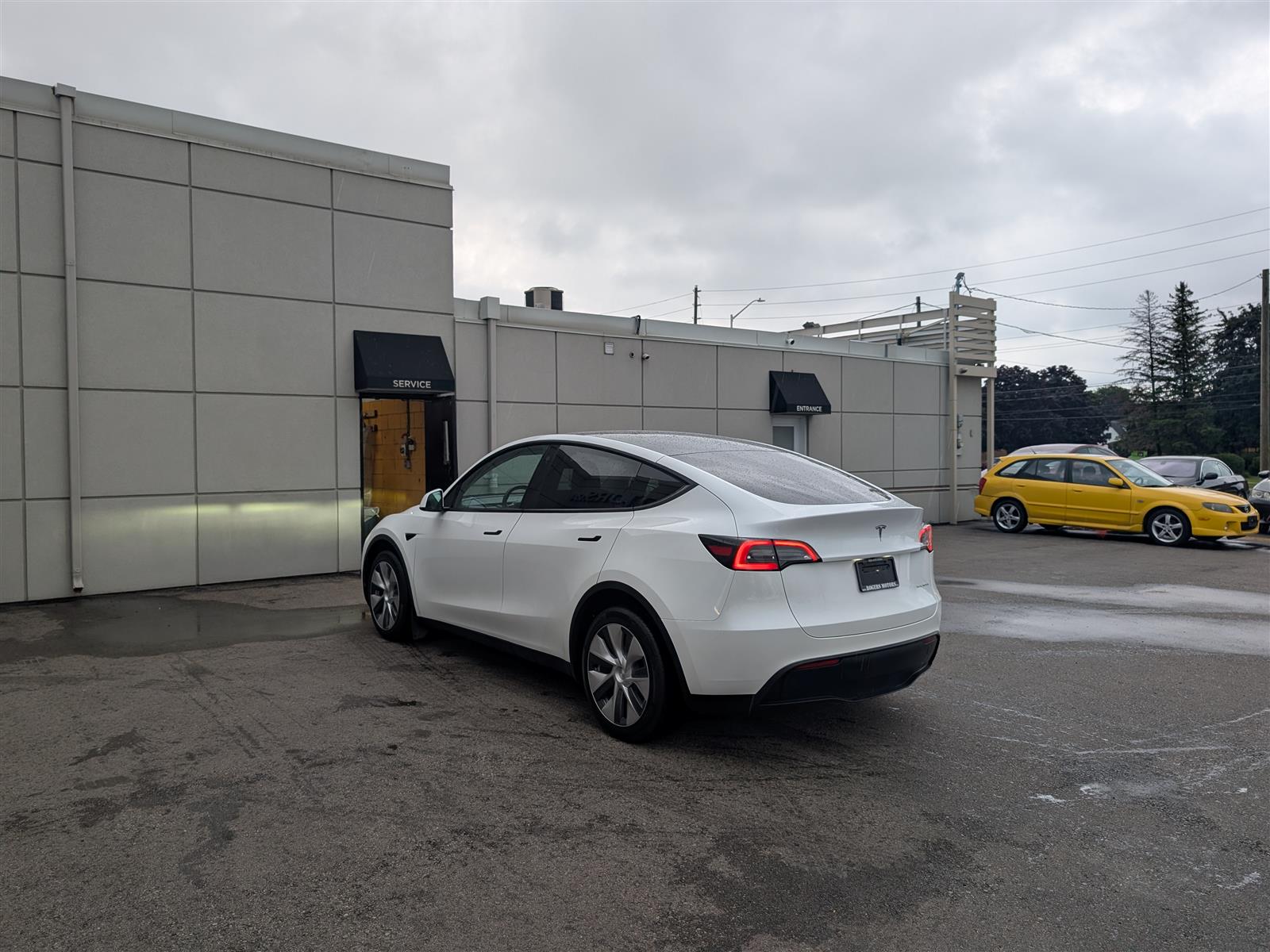 Tesla MODEL Y