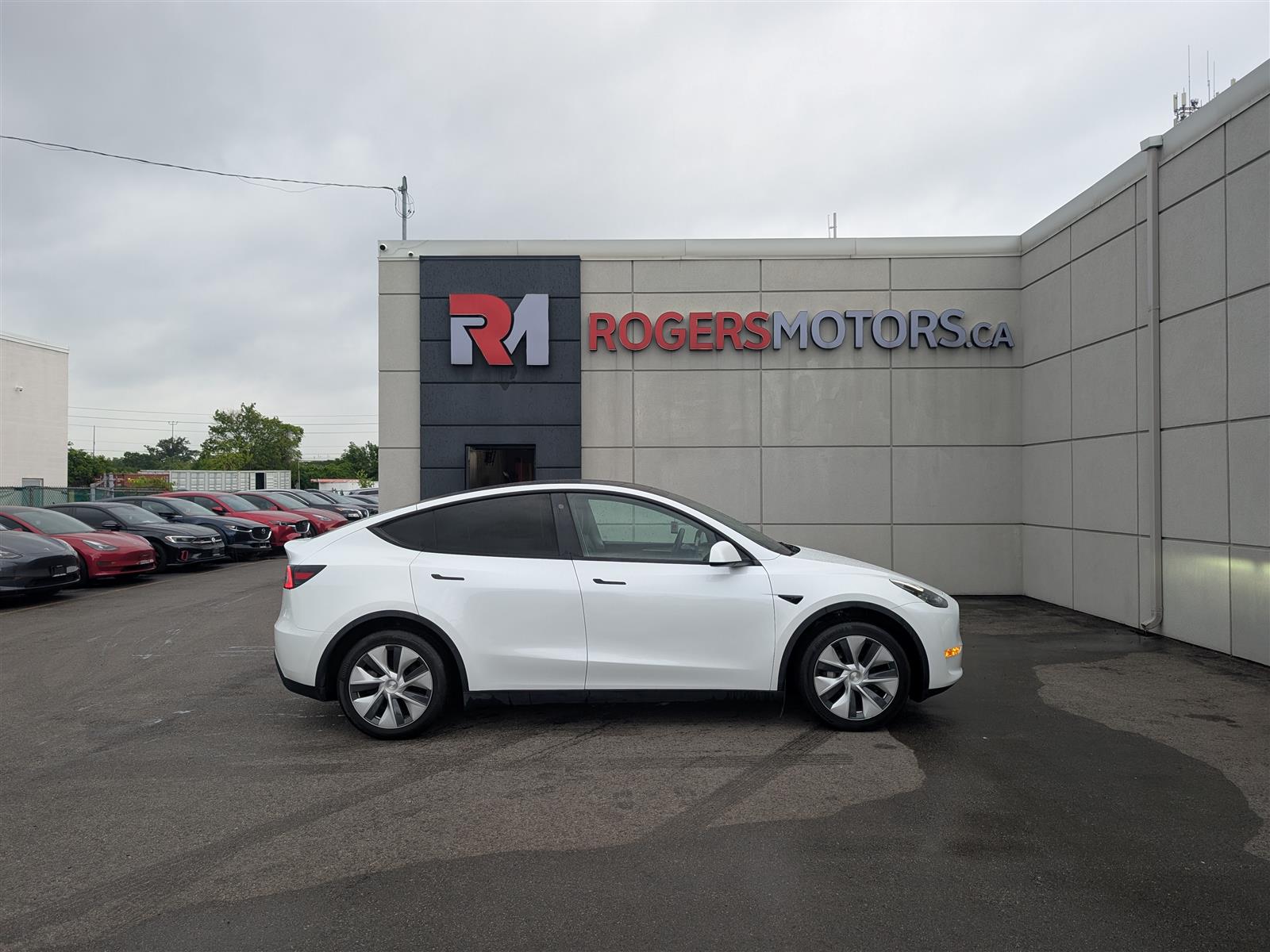 Tesla MODEL Y