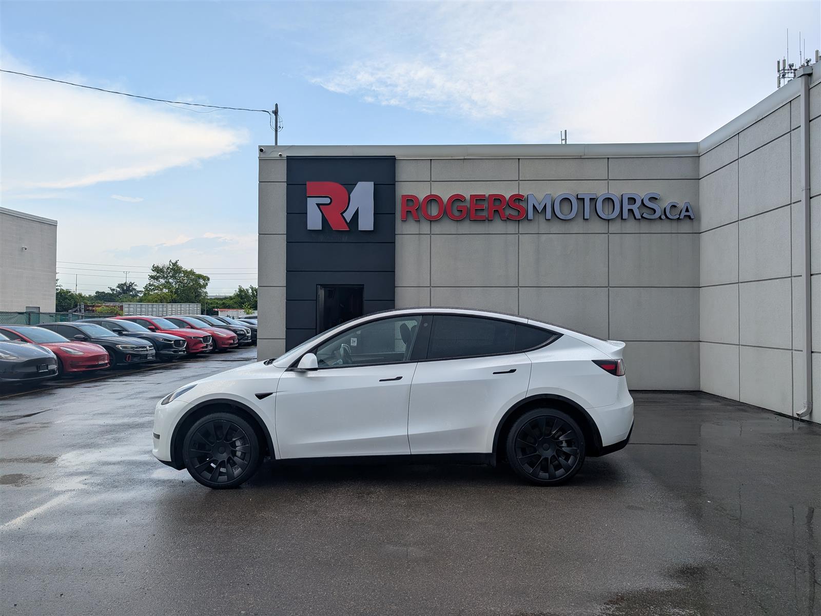 Tesla MODEL Y