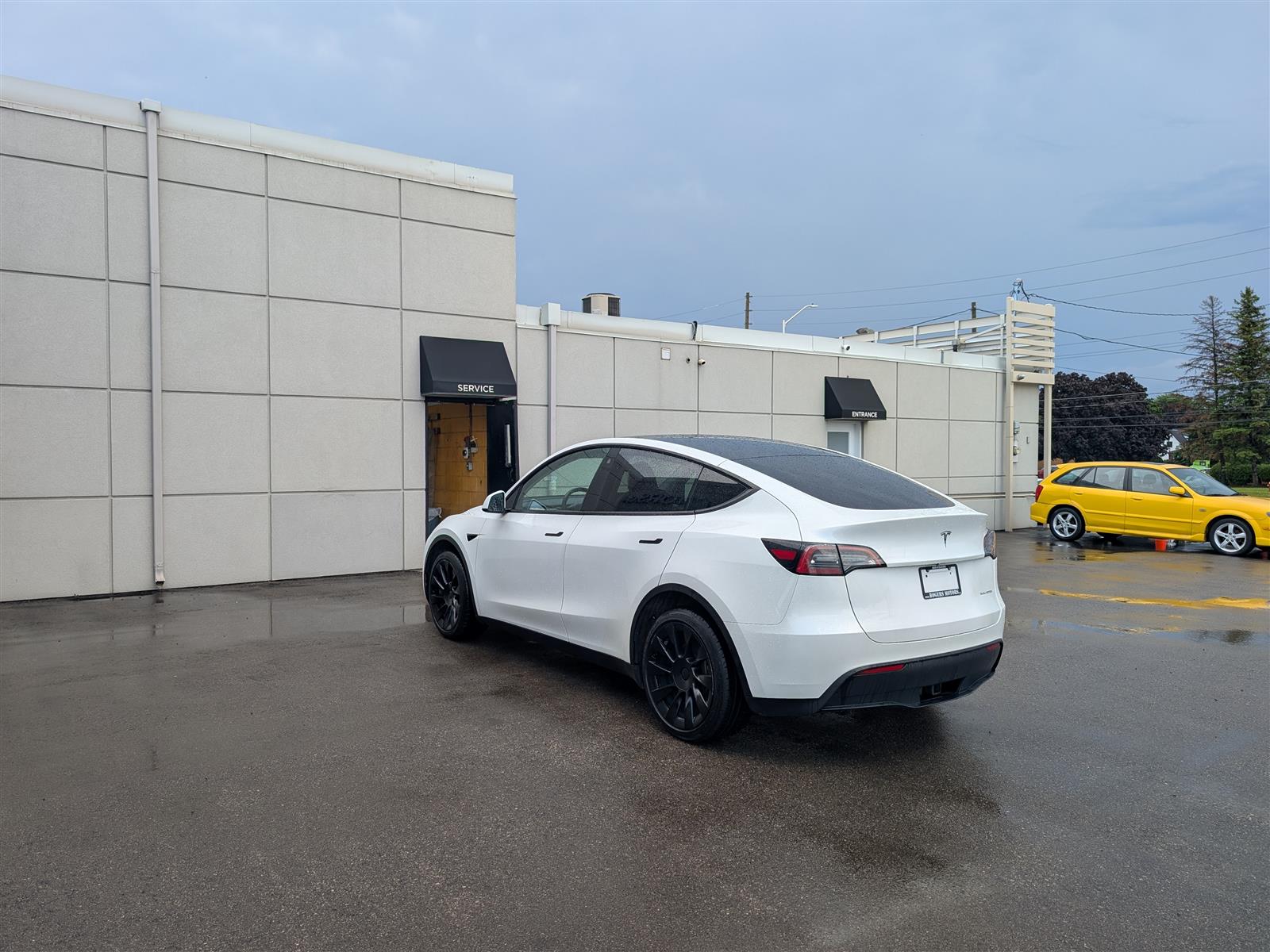 Tesla MODEL Y
