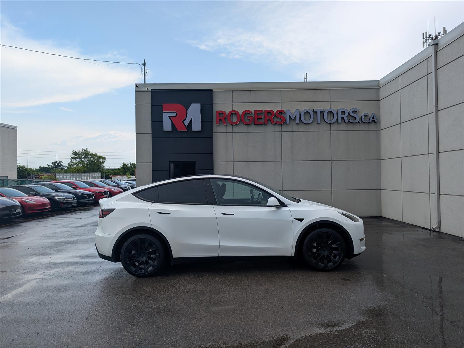 Tesla MODEL Y