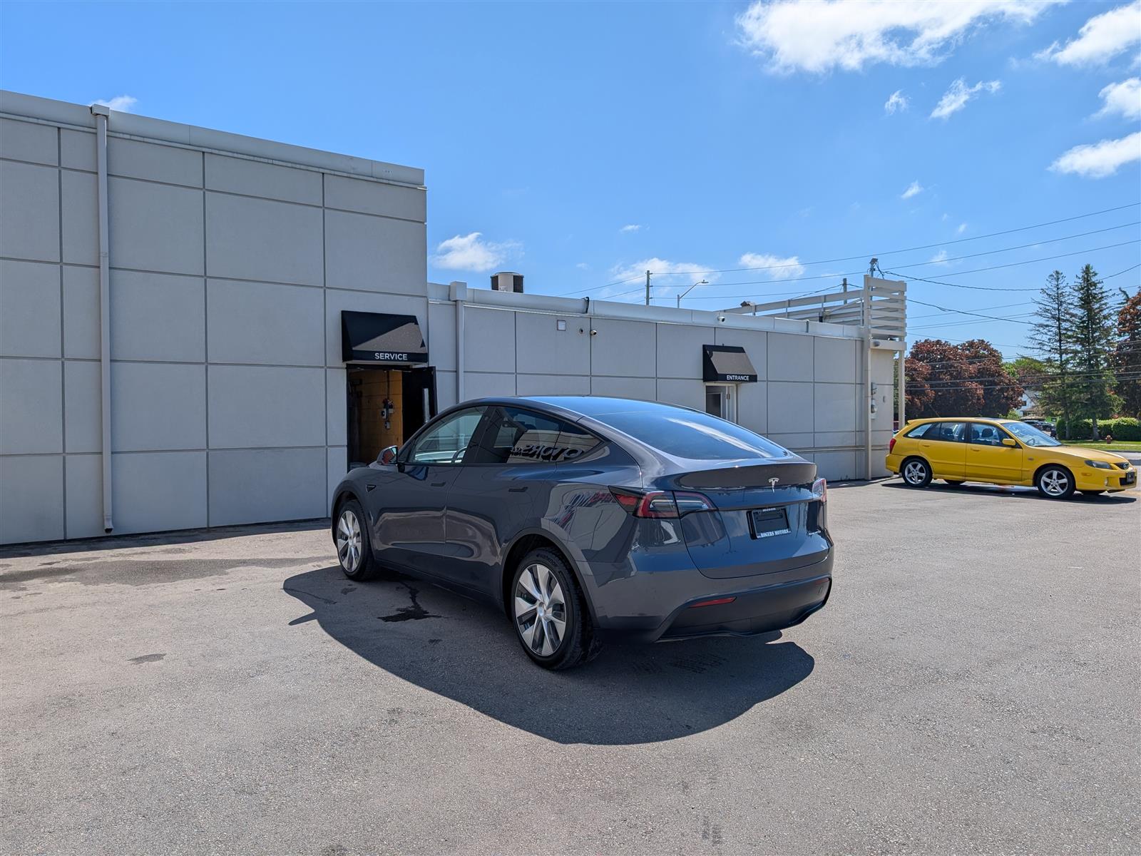 Tesla MODEL Y