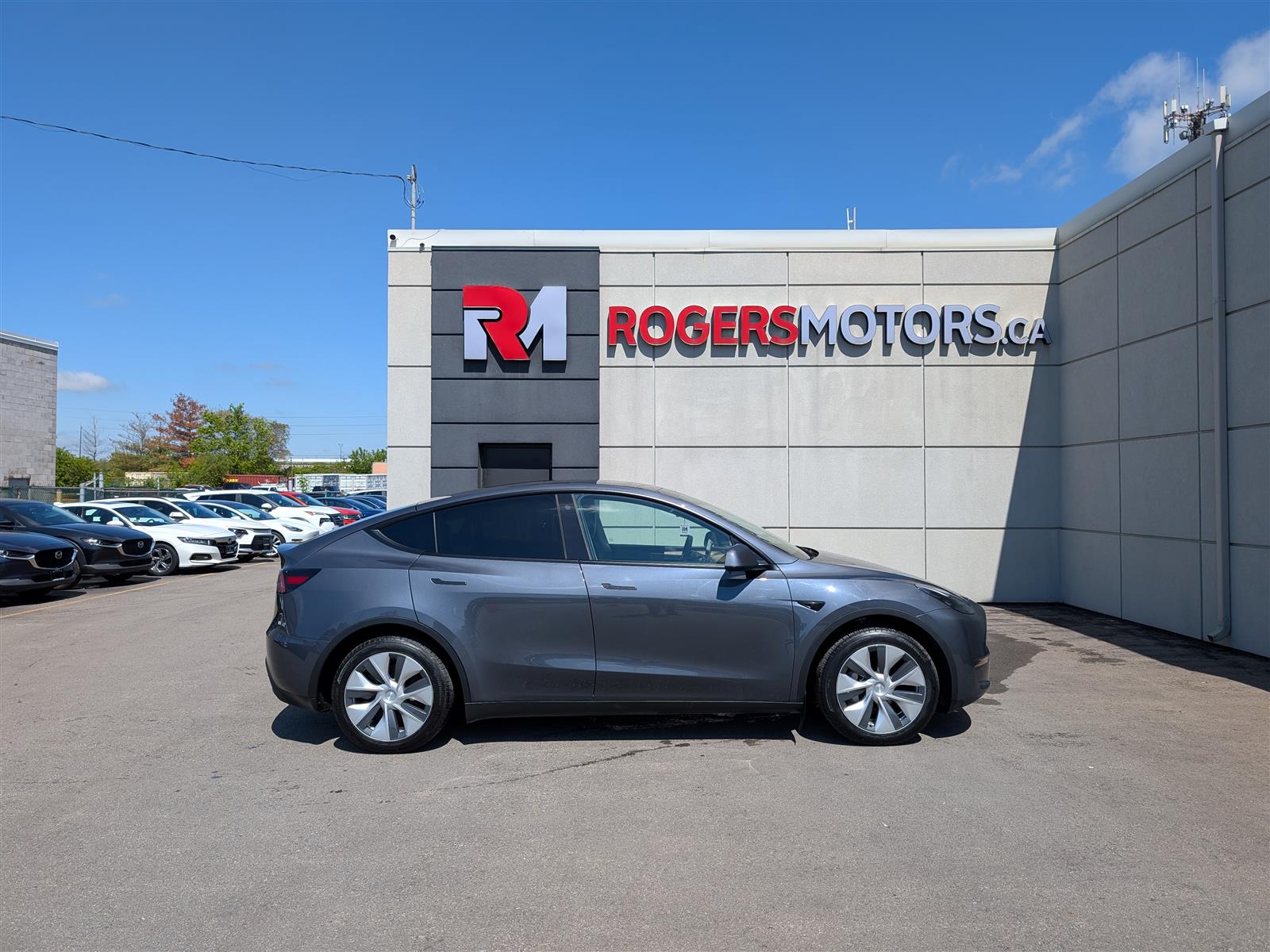 Tesla MODEL Y