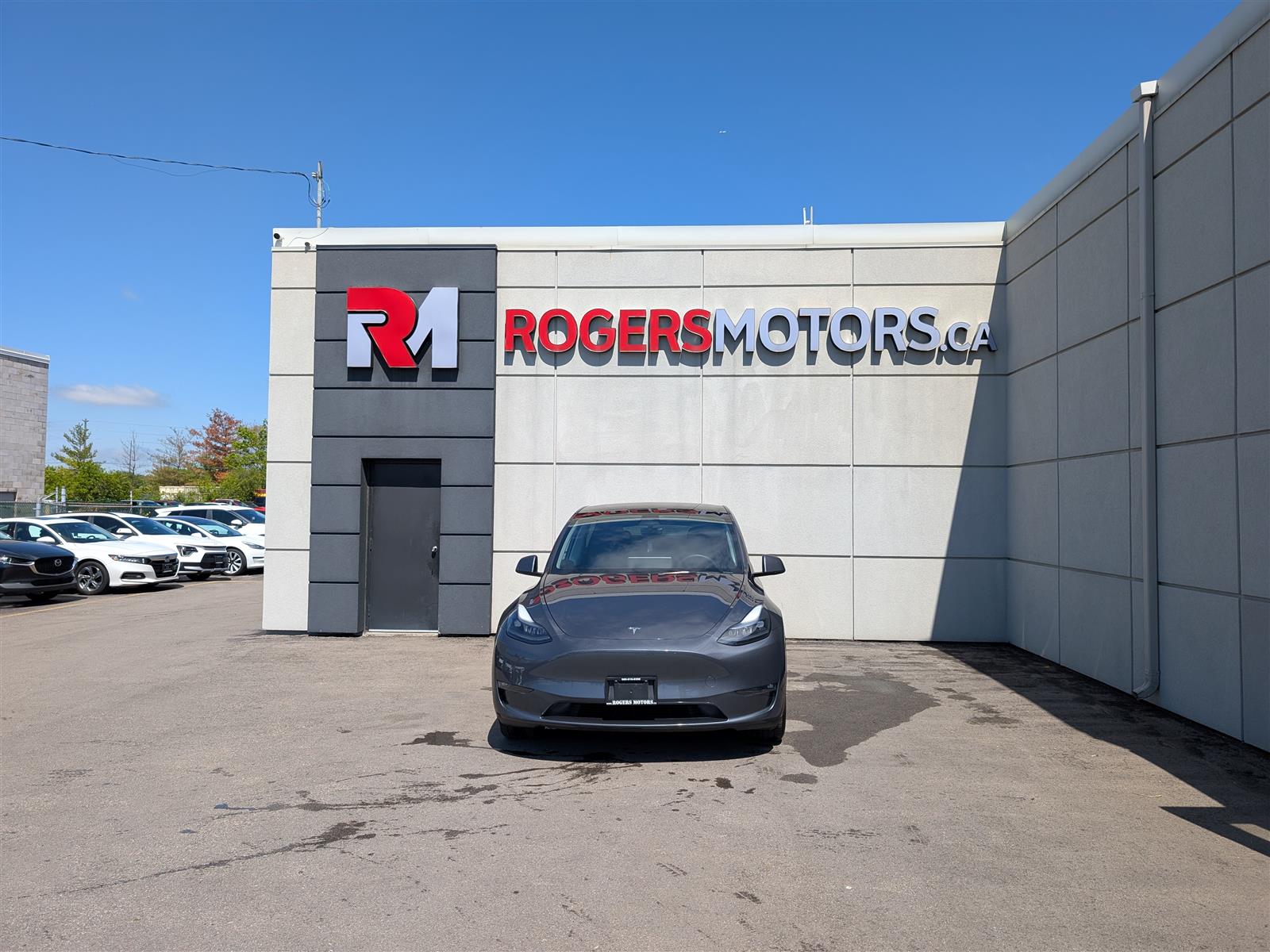 Tesla MODEL Y