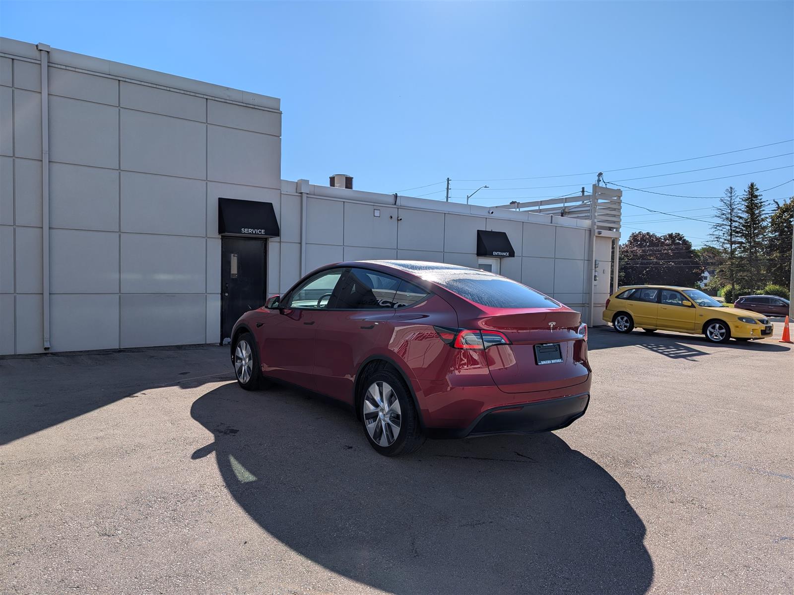 Tesla MODEL Y