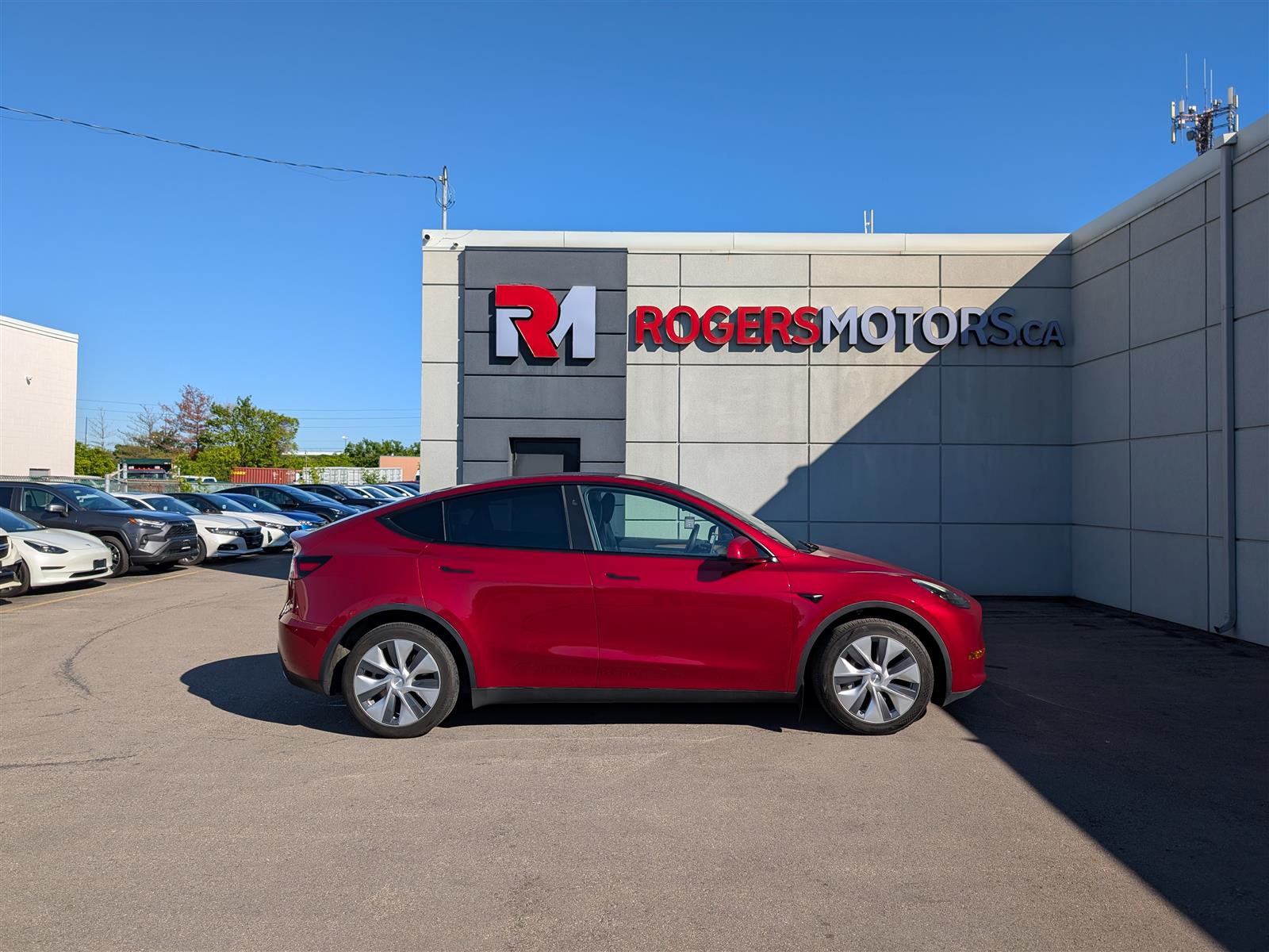 Tesla MODEL Y