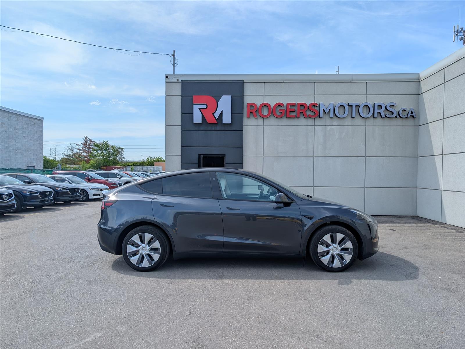 Tesla MODEL Y