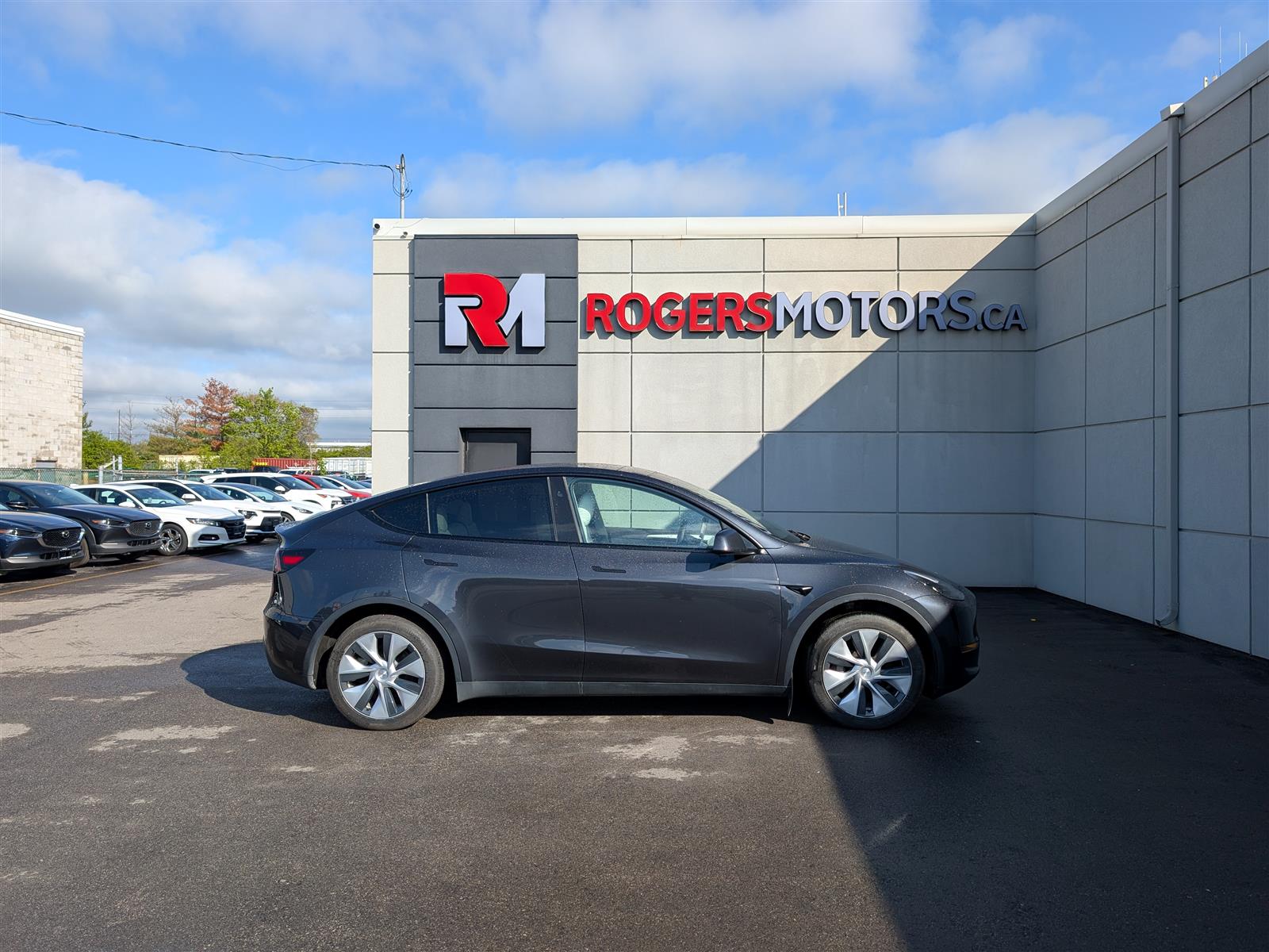 Tesla MODEL Y
