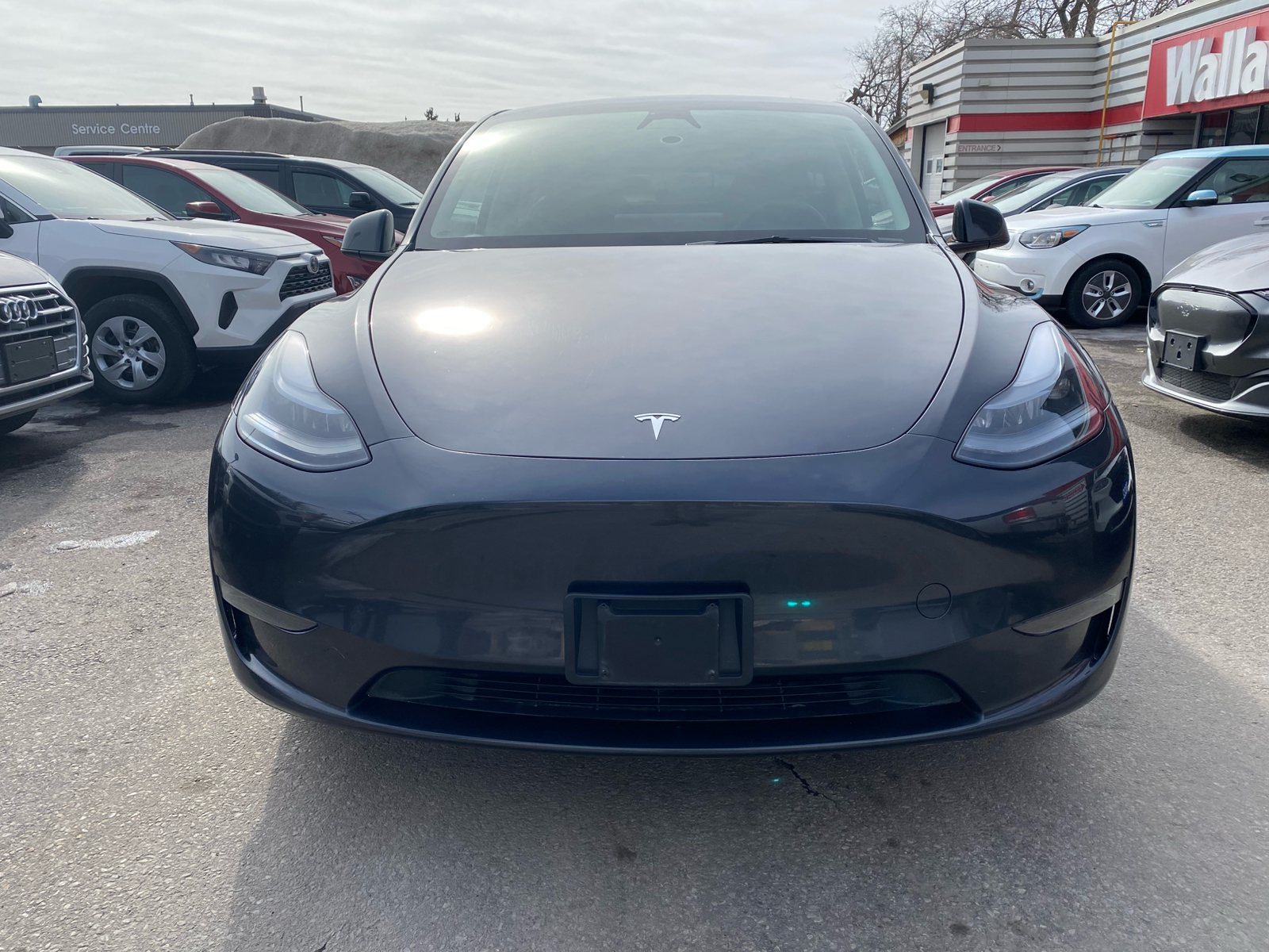 Tesla MODEL Y